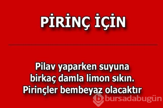 Hayatın her alanında yardımcı olabilecek bilgiler