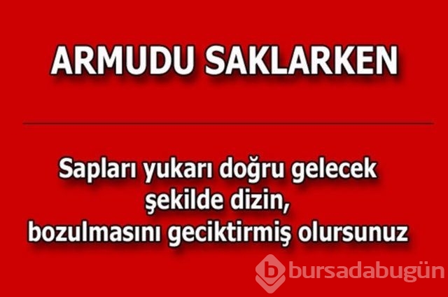 Hayatın her alanında yardımcı olabilecek bilgiler