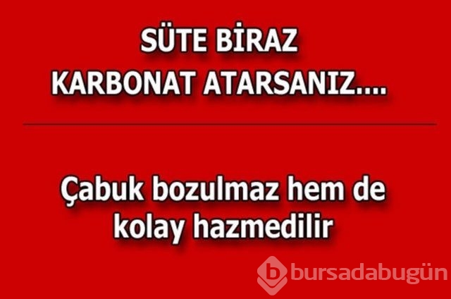 Hayatın her alanında yardımcı olabilecek bilgiler
