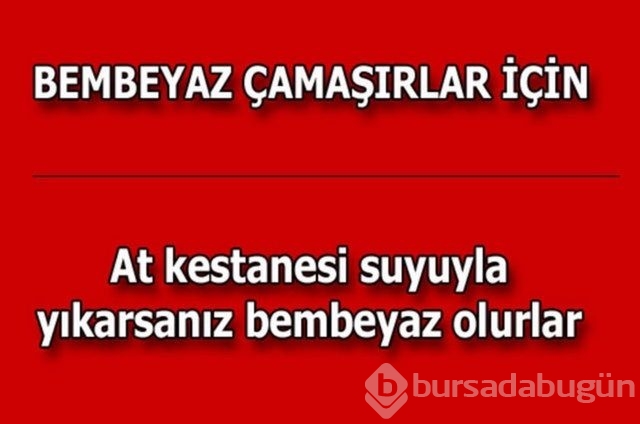Hayatın her alanında yardımcı olabilecek bilgiler