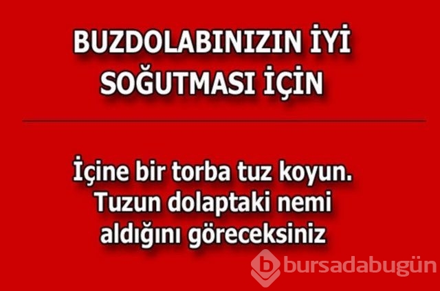 Hayatın her alanında yardımcı olabilecek bilgiler