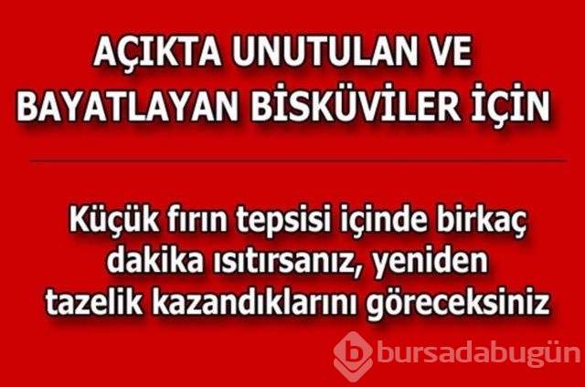 Hayatın her alanında yardımcı olabilecek bilgiler