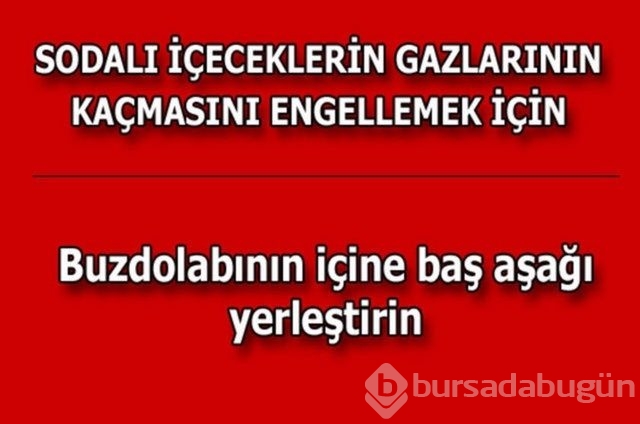 Hayatın her alanında yardımcı olabilecek bilgiler