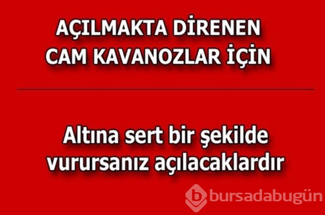 Hayatın her alanında yardımcı olabilecek bilgiler