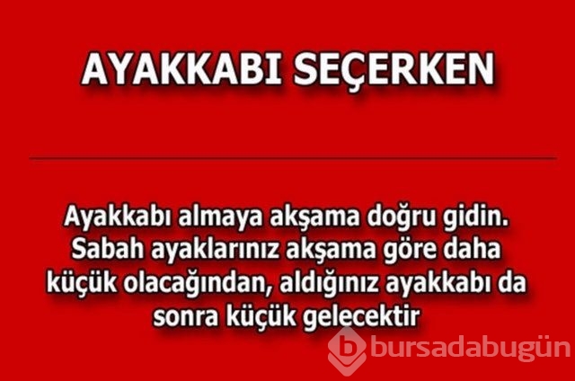 Hayatın her alanında yardımcı olabilecek bilgiler
