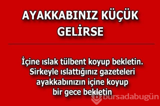 Hayatın her alanında yardımcı olabilecek bilgiler