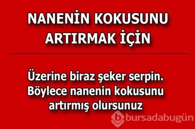 Hayatın her alanında yardımcı olabilecek bilgiler