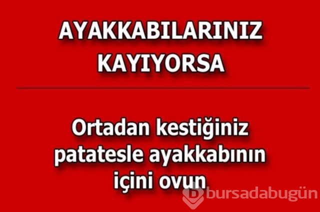 Hayatın her alanında yardımcı olabilecek bilgiler