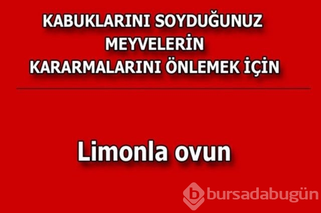 Hayatın her alanında yardımcı olabilecek bilgiler
