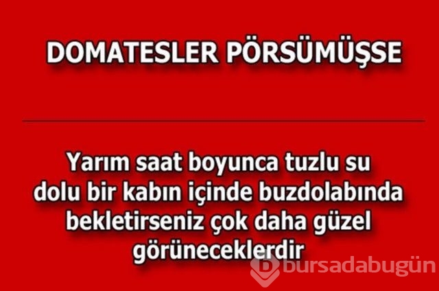 Hayatın her alanında yardımcı olabilecek bilgiler