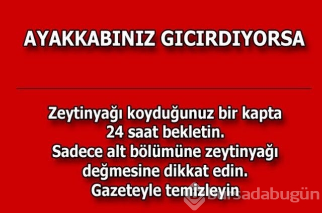 Hayatın her alanında yardımcı olabilecek bilgiler