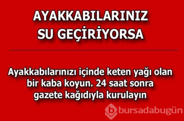 Hayatın her alanında yardımcı olabilecek bilgiler