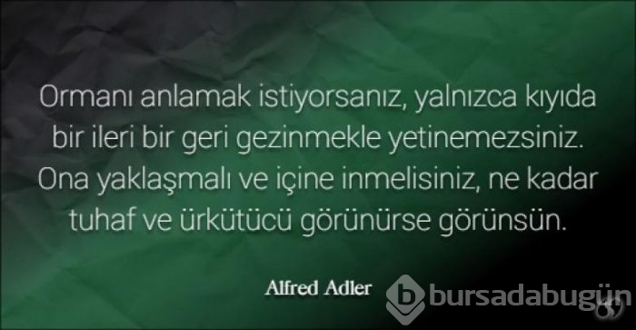 Freud ve Adler'den inciler içeren 8 anlamlı söz