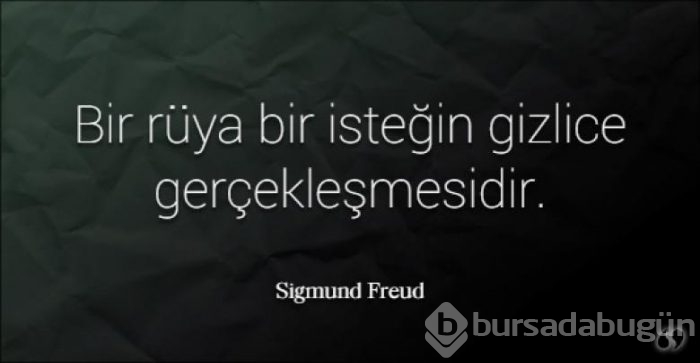 Freud ve Adler'den inciler içeren 8 anlamlı söz
