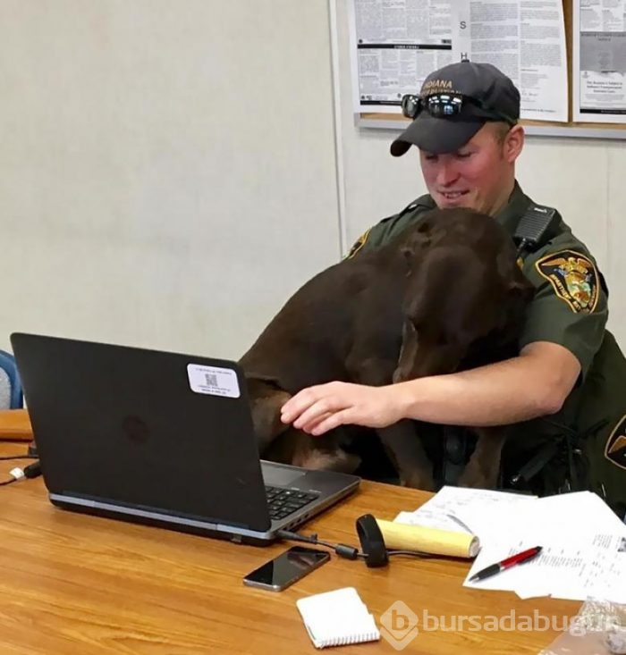 Fotoğraf çekimini sabote eden sevimli K9 köpeği