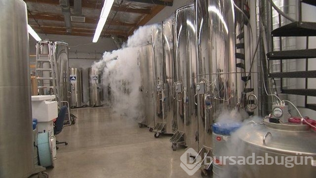 Buzlar içinde dirilmeyi bekliyorlar...
