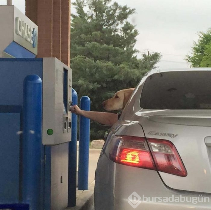 ATM'de para çekerken görüntülenen 13 enteresan tip