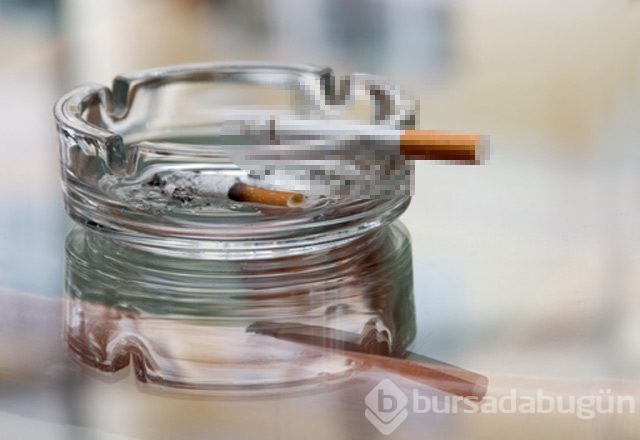 Sigara içenler için örnek beslenme listesi
