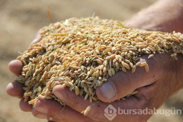 Sedef hastalığı nasıl geçer?