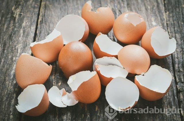 Yumurta kabuğunu fırınlayıp yerseniz...