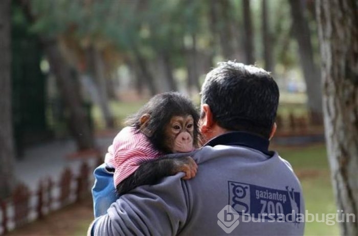 Bakıcısını annesi zannediyor!
