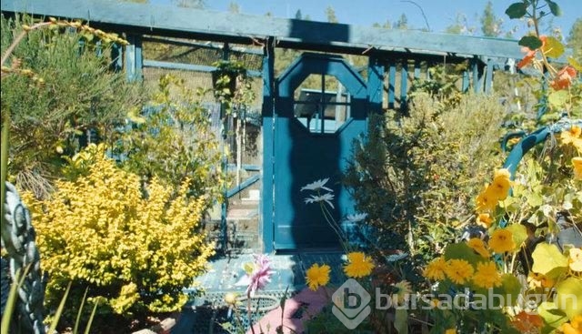 Şehri terk edip kendilerine 'seyyar ada' yaptılar