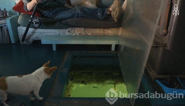 Şehri terk edip kendilerine 'seyyar ada' yaptılar
