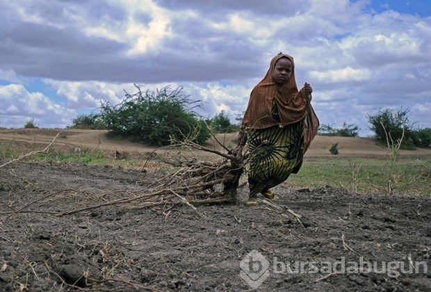 Somali'de halk açlık tehlikesi ile karşı karşıya