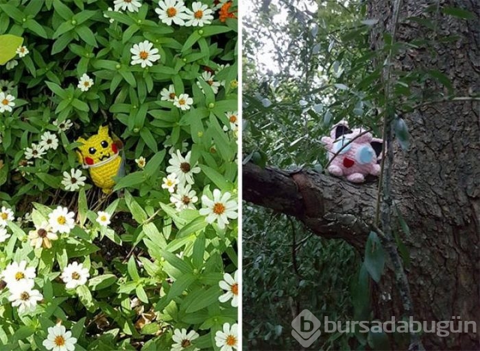 Pokemon karakterlerini örüp sokağa bırakıyor