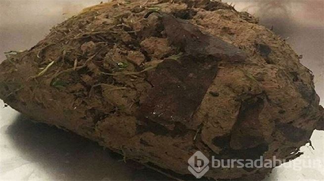Hareket eden toprak görenleri şaşkınlığa uğrattı!