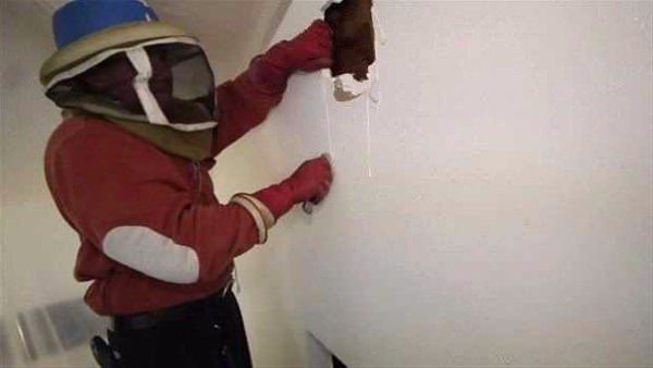 Duvarın içinden çıkanlara çok şaşıracaksınız!