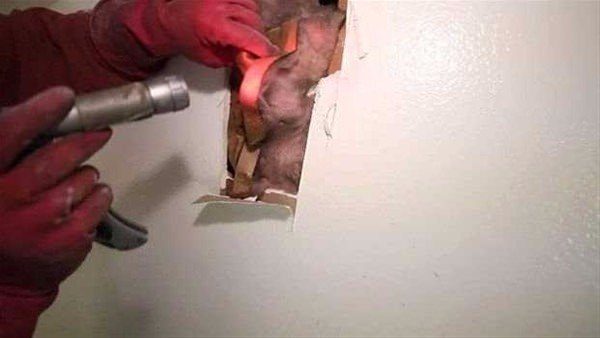 Duvarın içinden çıkanlara çok şaşıracaksınız!