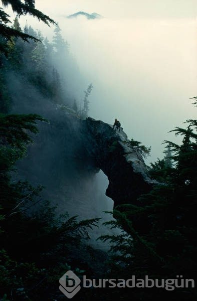 National Geographic'ten daha önce görülmemiş fotoğraflar