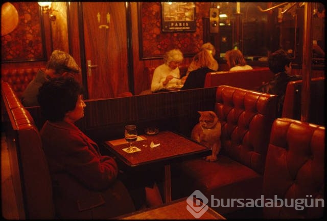 National Geographic'ten daha önce görülmemiş fotoğraflar