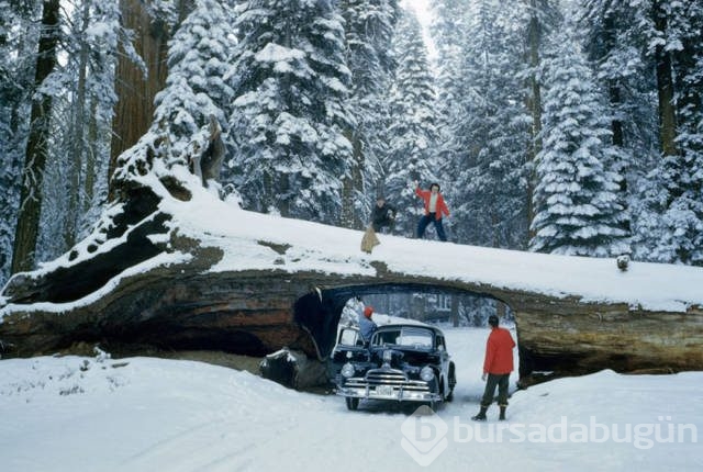National Geographic'ten daha önce görülmemiş fotoğraflar