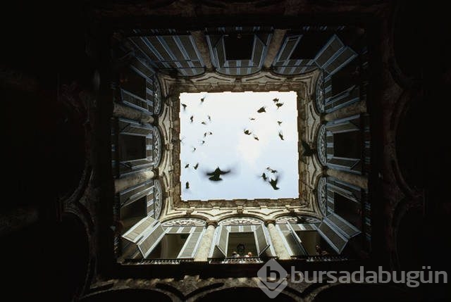 National Geographic'ten daha önce görülmemiş fotoğraflar