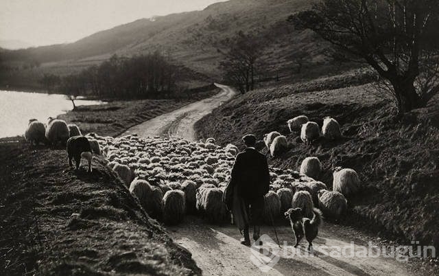 National Geographic'ten daha önce görülmemiş fotoğraflar