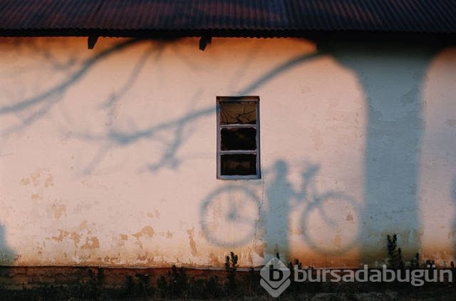 National Geographic'ten daha önce görülmemiş fotoğraflar
