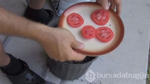 Evde, işte sizi kurtaracak pratik bilgiler!