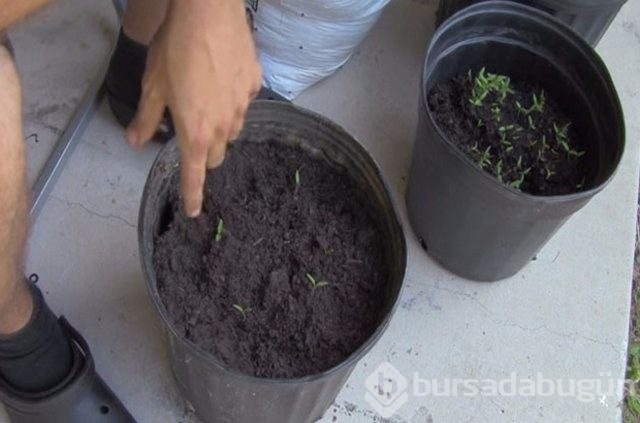 Evde, işte sizi kurtaracak pratik bilgiler!