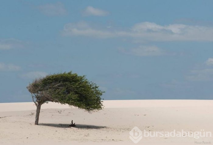 Baktıkça bakmak isteyeceğiniz 'minimalist' fotoğraflar