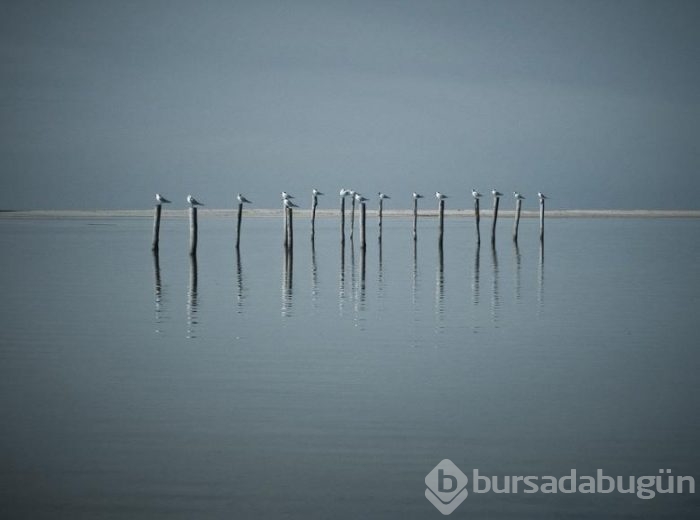 Baktıkça bakmak isteyeceğiniz 'minimalist' fotoğraflar