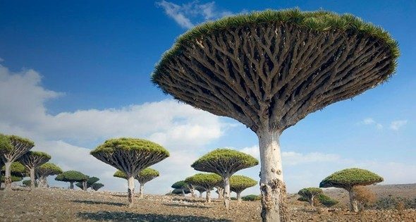 'Uzaylı Ada' görenleri hayrete düşürüyor
