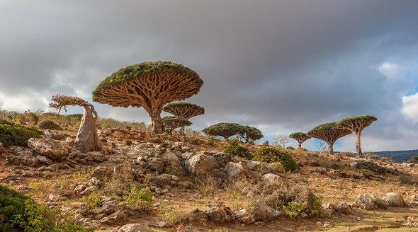 'Uzaylı Ada' görenleri hayrete düşürüyor