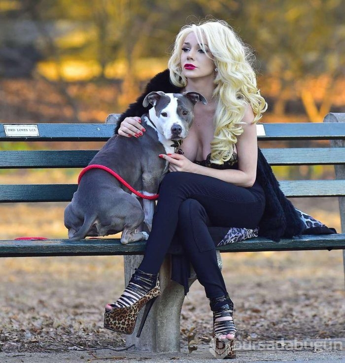 12 derede köpeğini böyle gezdirdi