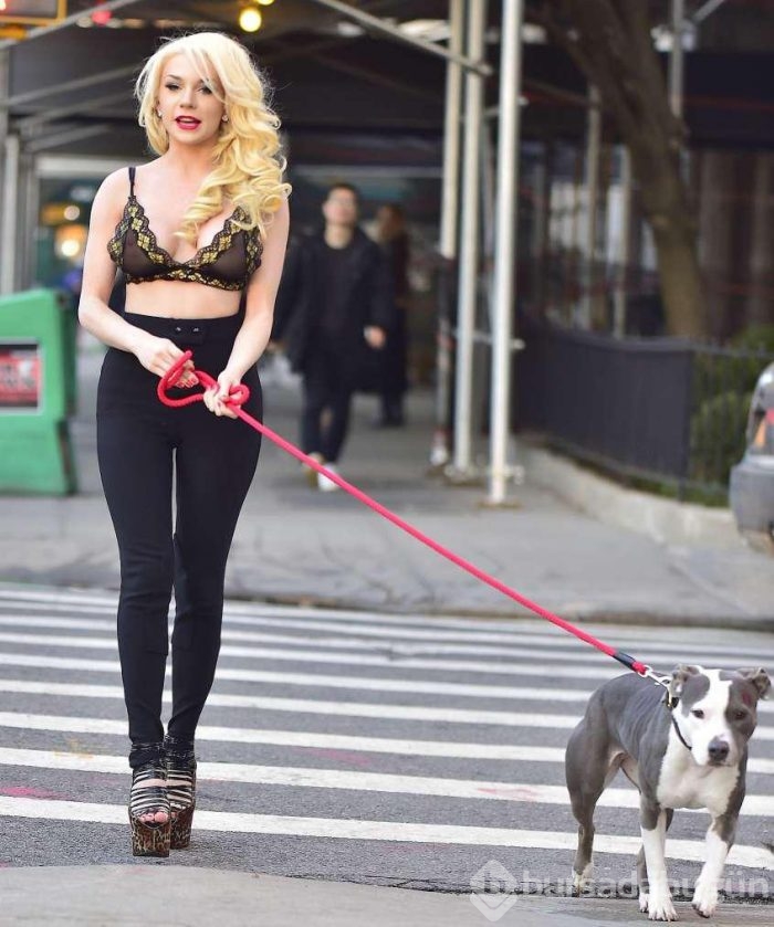 12 derede köpeğini böyle gezdirdi