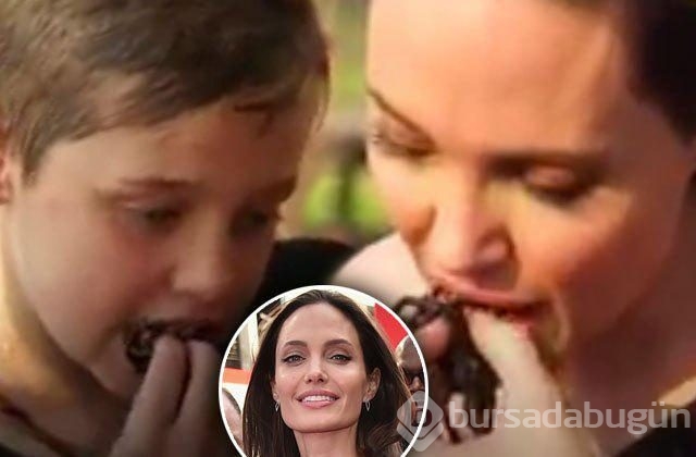 Angelina Jolie örümcek yedi, çocuklarına da yedirdi!