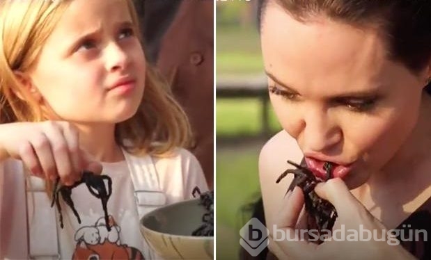 Angelina Jolie örümcek yedi, çocuklarına da yedirdi!