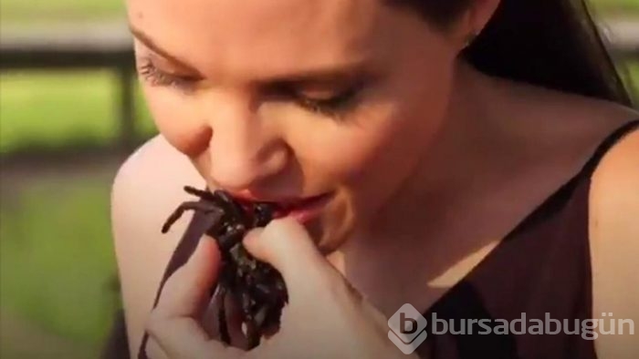 Angelina Jolie örümcek yedi, çocuklarına da yedirdi!