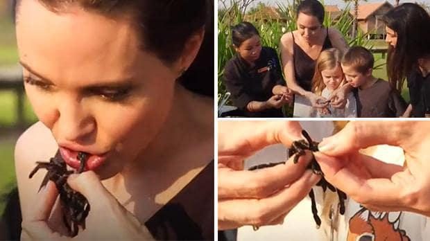 Angelina Jolie örümcek yedi, çocuklarına da yedirdi!